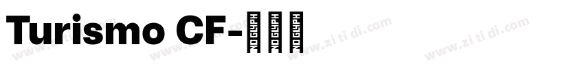 Turismo CF字体转换